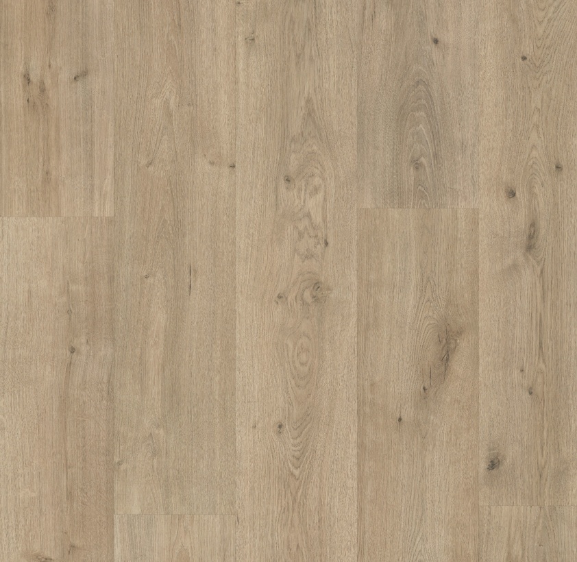 369b-roble-vera-siglo-xl-4v-top