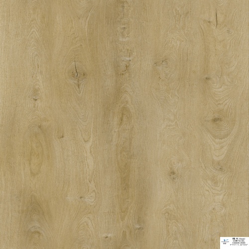 448_pattern